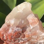 Aragonite Star Clusters