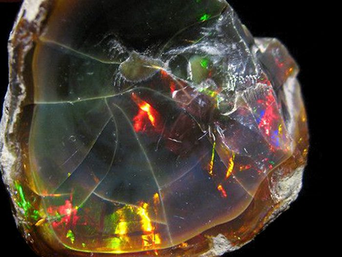 Black-Precious-Opal1 Black Precious Opal