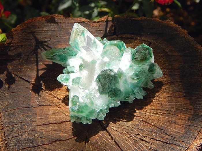 Chlorite-Phantom-Crystal Chlorite Phantom Crystals